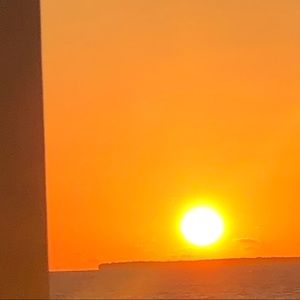 Meet your Posher, Terri